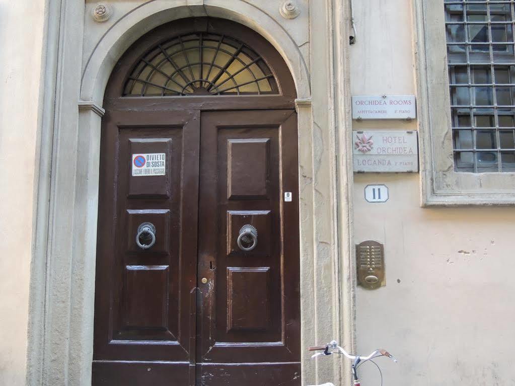 Locanda Orchidea Florence Exterior photo