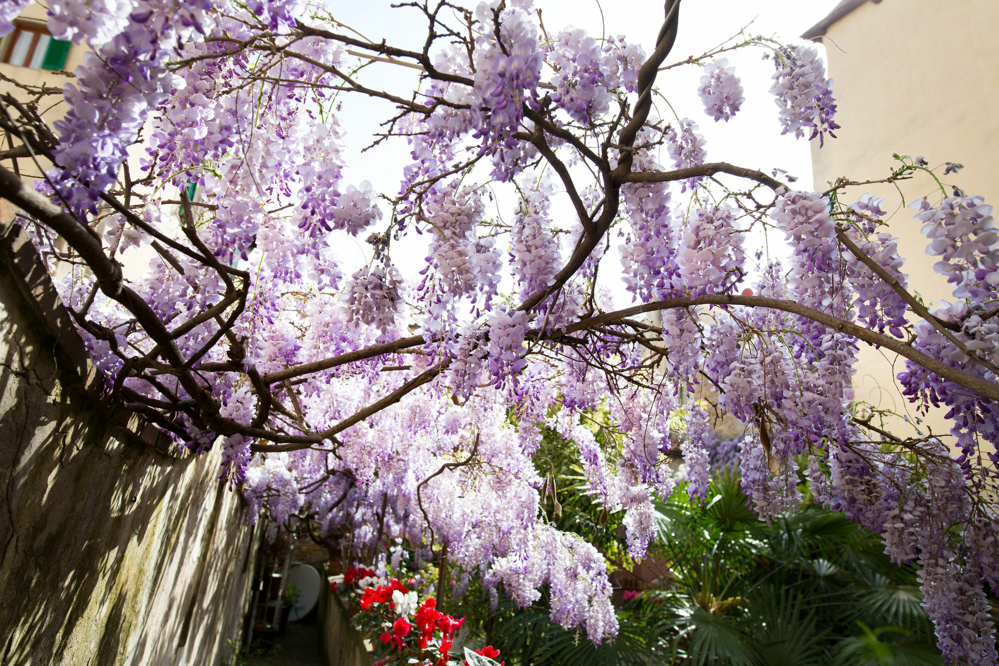 Locanda Orchidea Florence Exterior photo