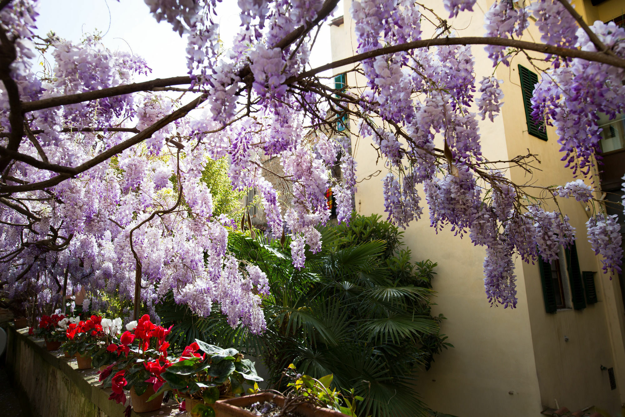 Locanda Orchidea Florence Exterior photo